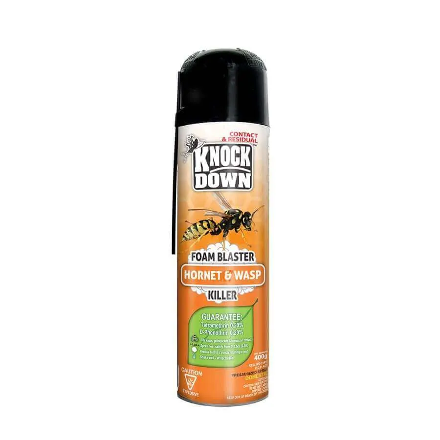 Knock Down 400g Hornet And Wasp Spray Foam