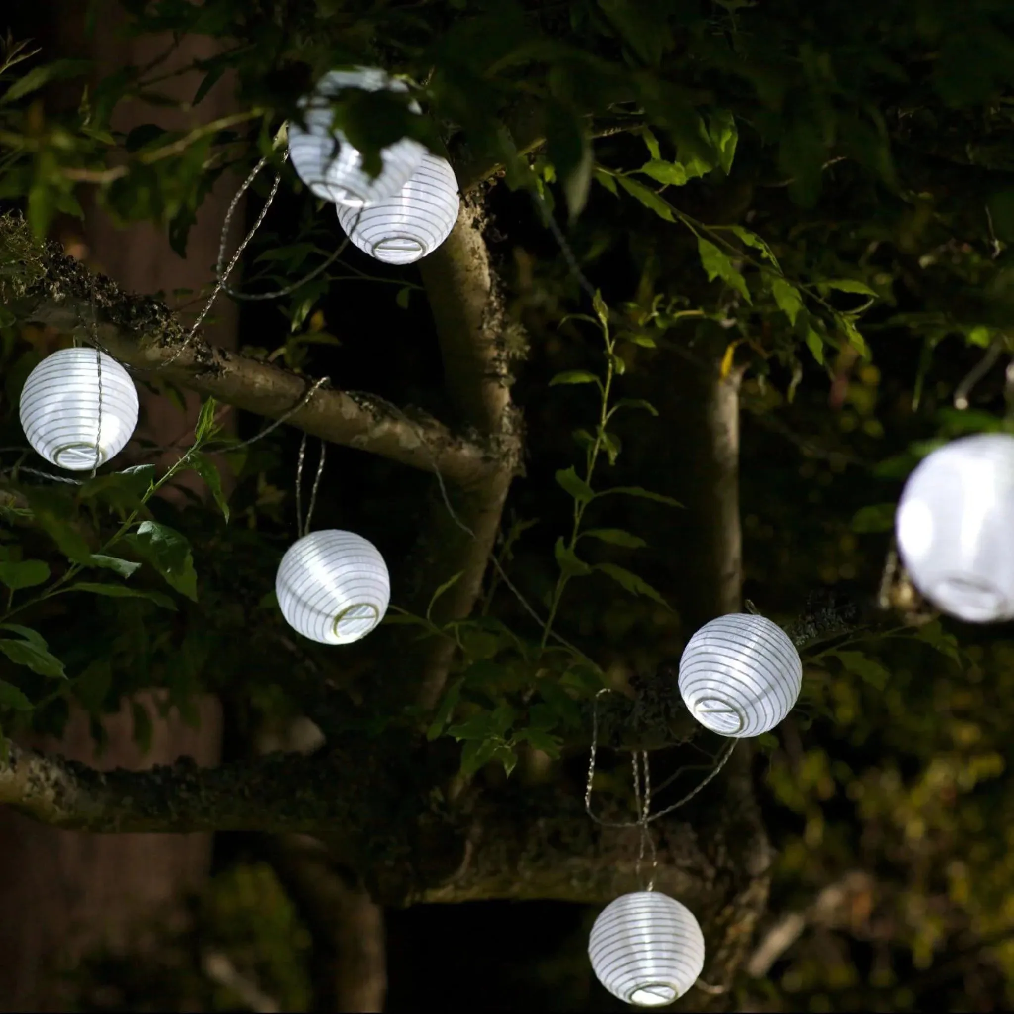 Soji Solar String Lights